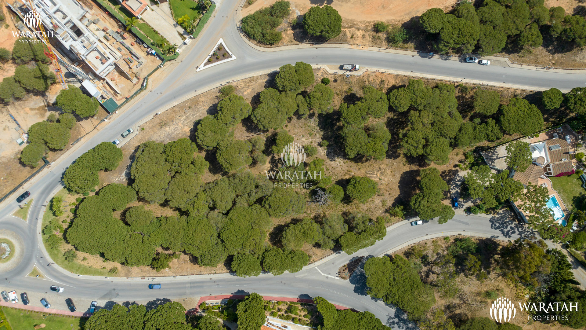 Plot Maples WP (10 De 16)