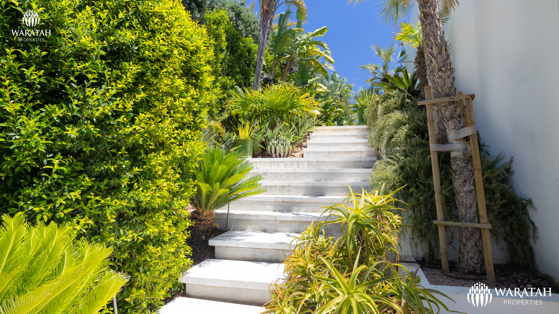 Villa Francisca Vale Do Lobo Waratah Properties (3)