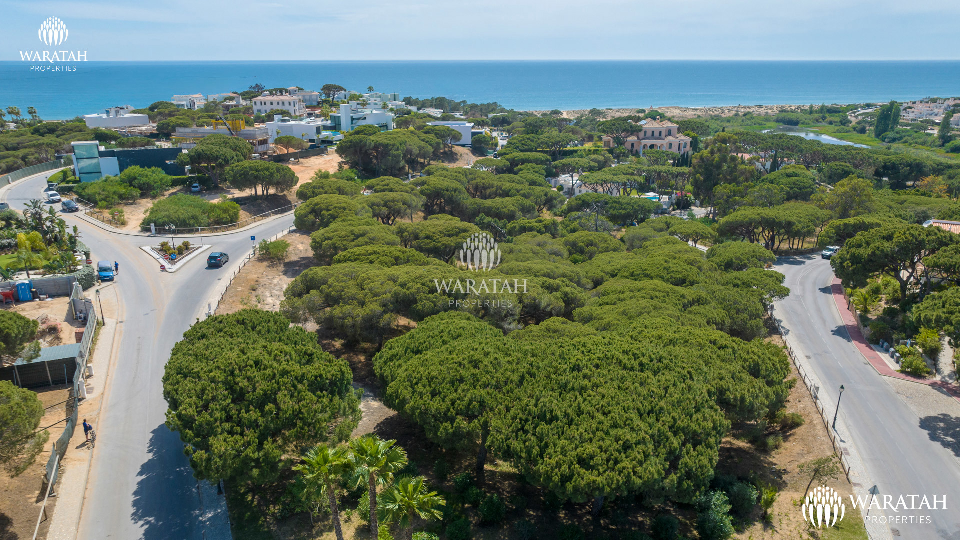 Plot Maples WP (16 De 16)