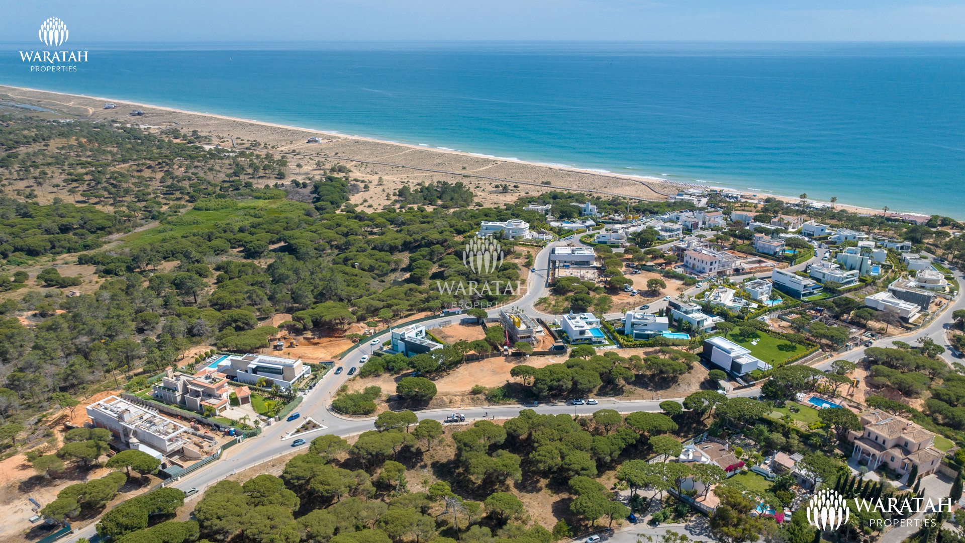 Plot Maples WP (11 De 16)