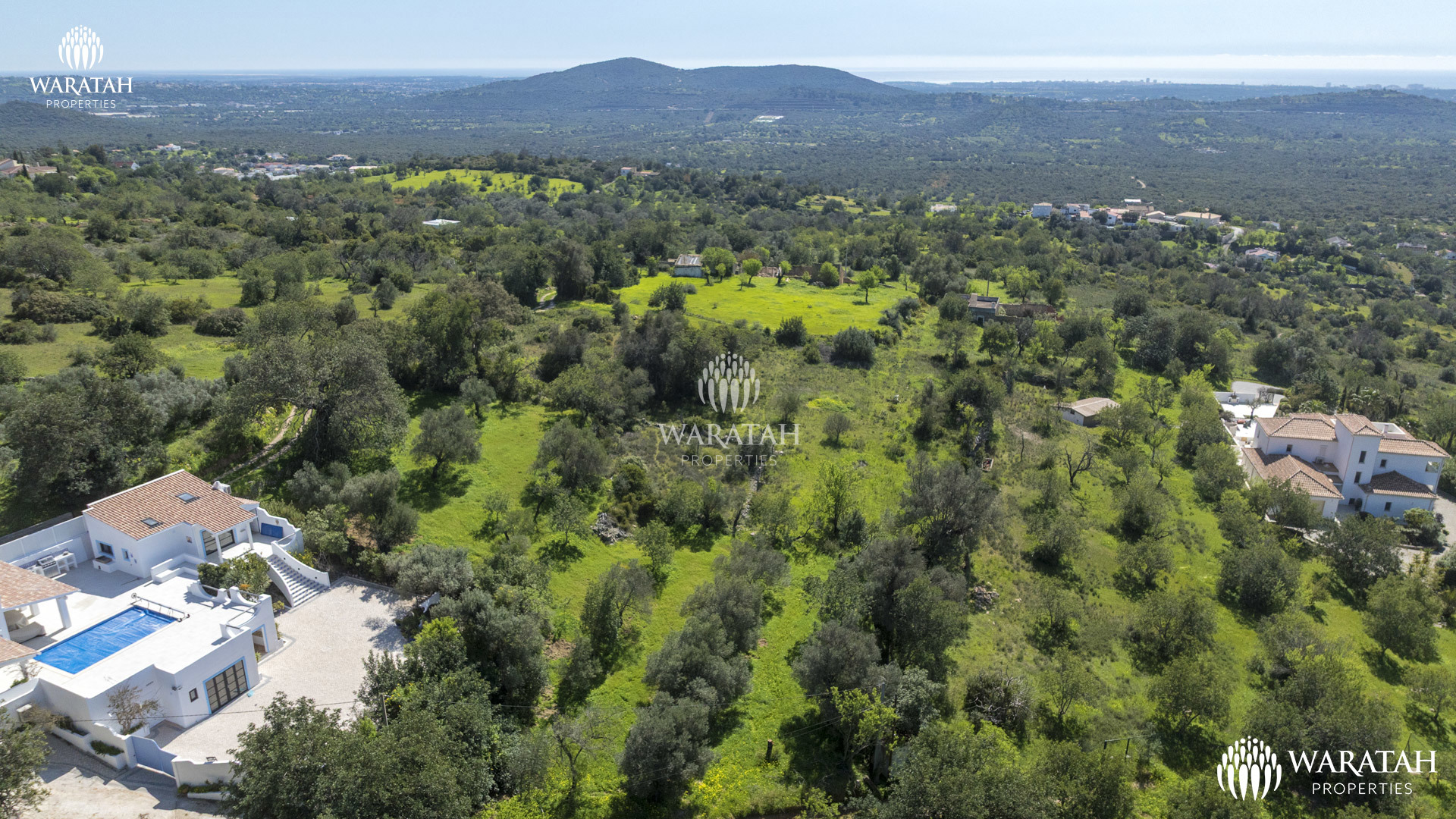 Plot Linaria WP (5 De 28)