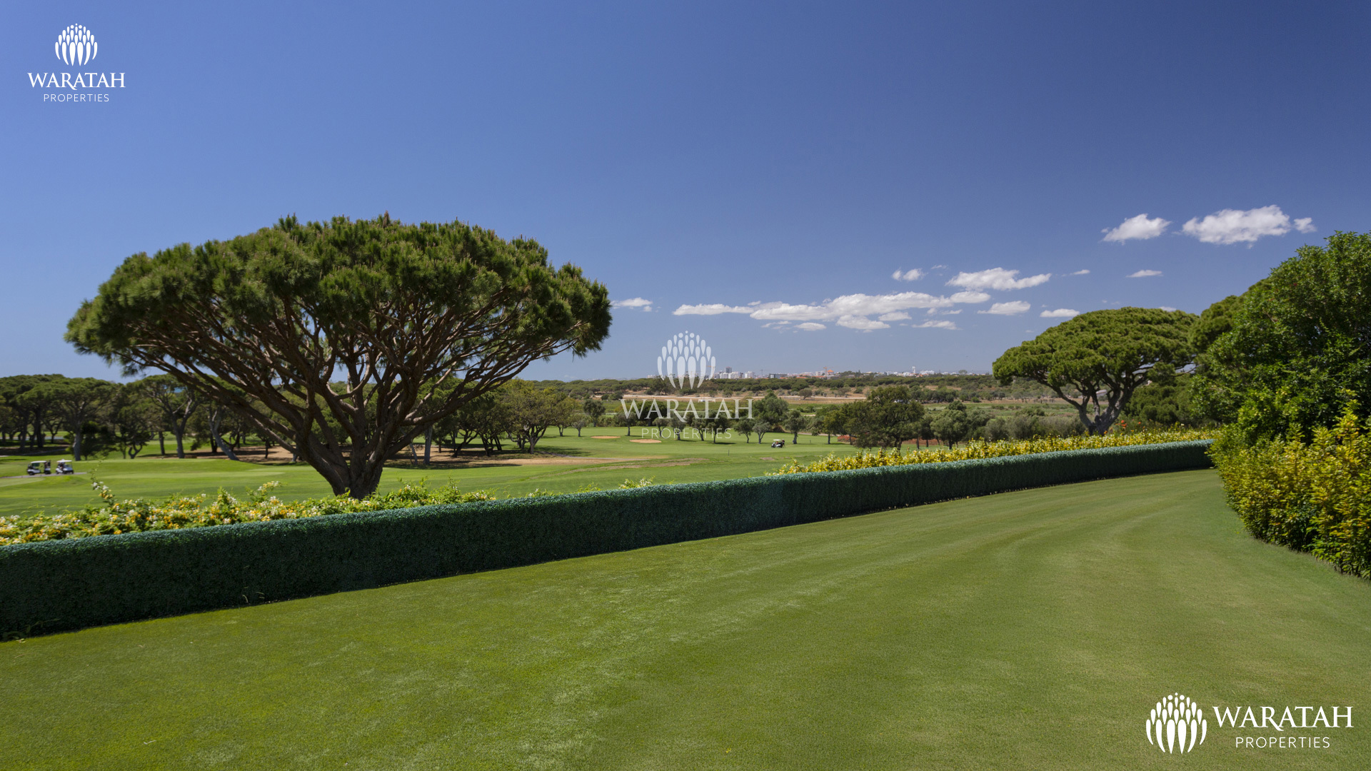 Project Villa Elegance WP (1 De 9)