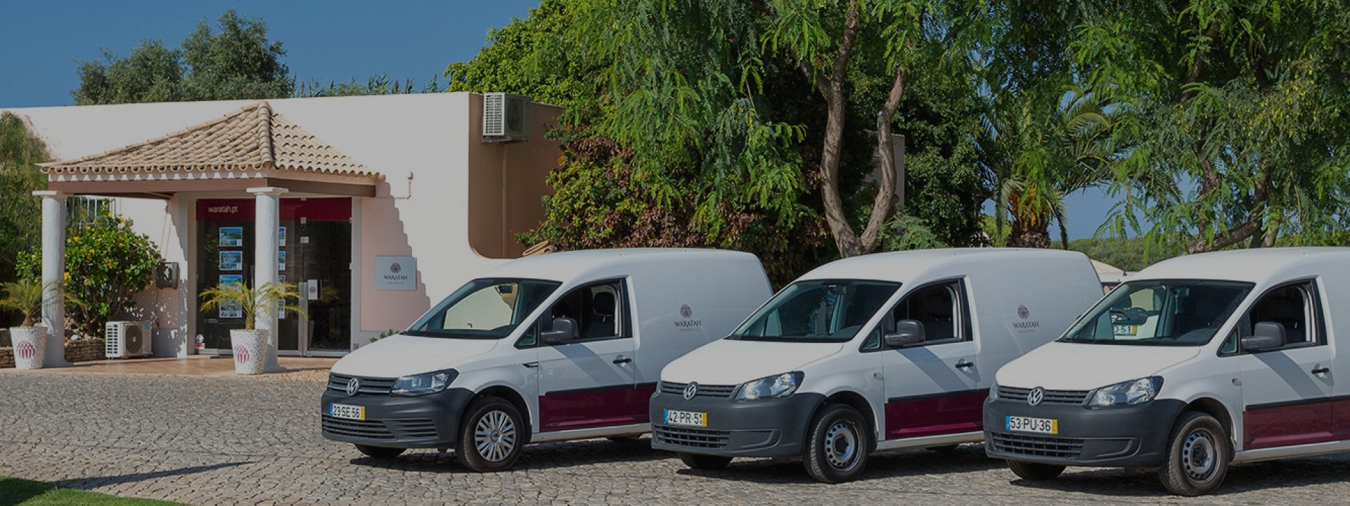 Waratah Guestservices 02 1