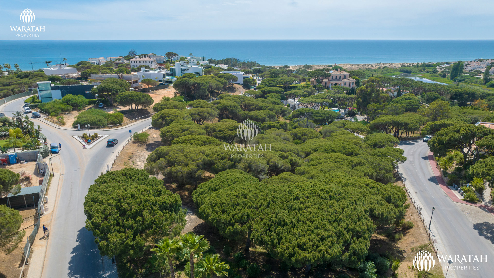 Plot Solo WP (31 De 38)