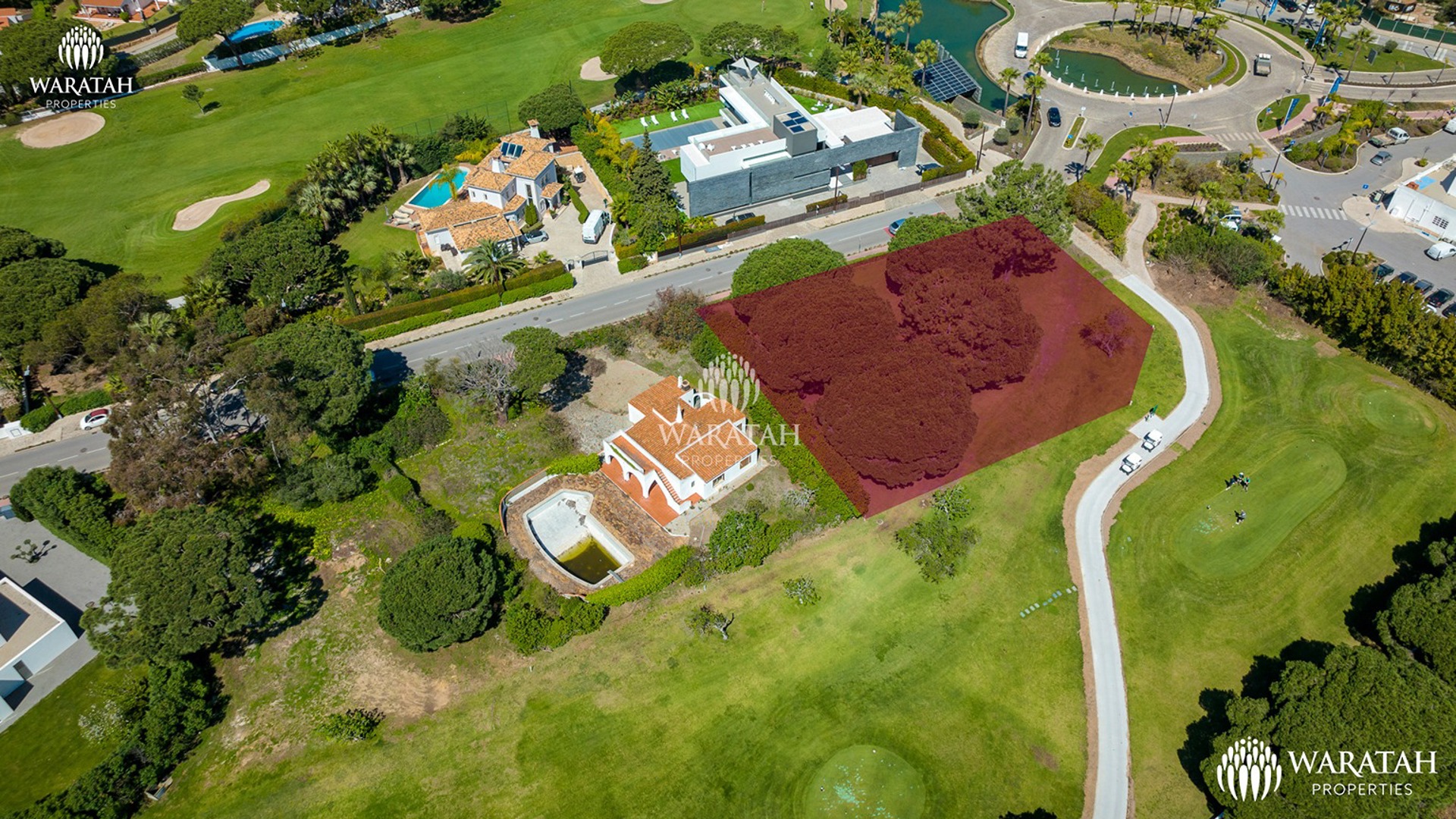 Waratah Plot Fern Vale Do Lobo (18 Of 18)