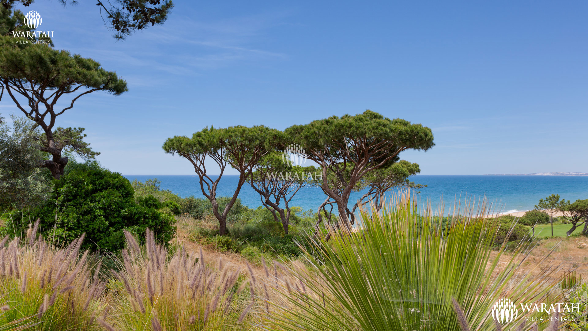 Villa Oceanview Vale Do Lobo Waratah Villa Rentals 45