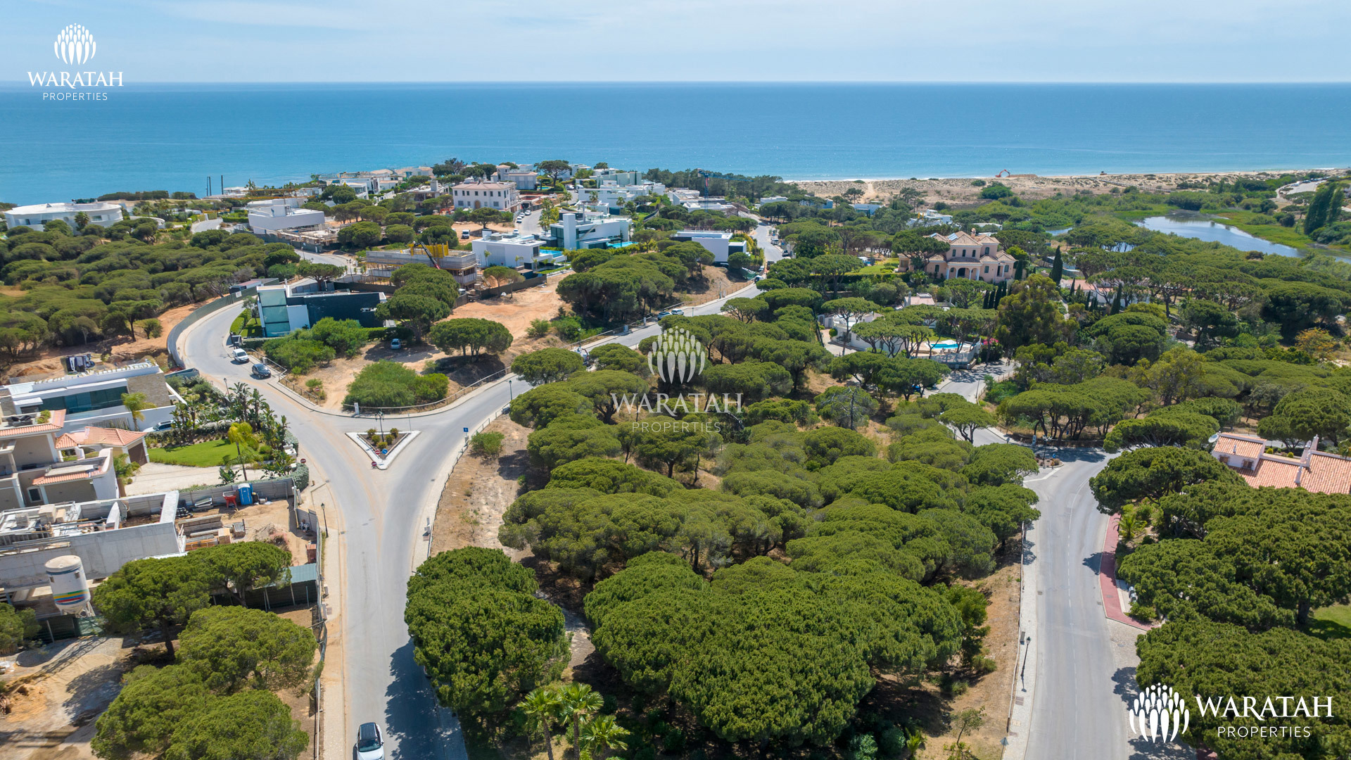 Plot Maples WP (4 De 16)