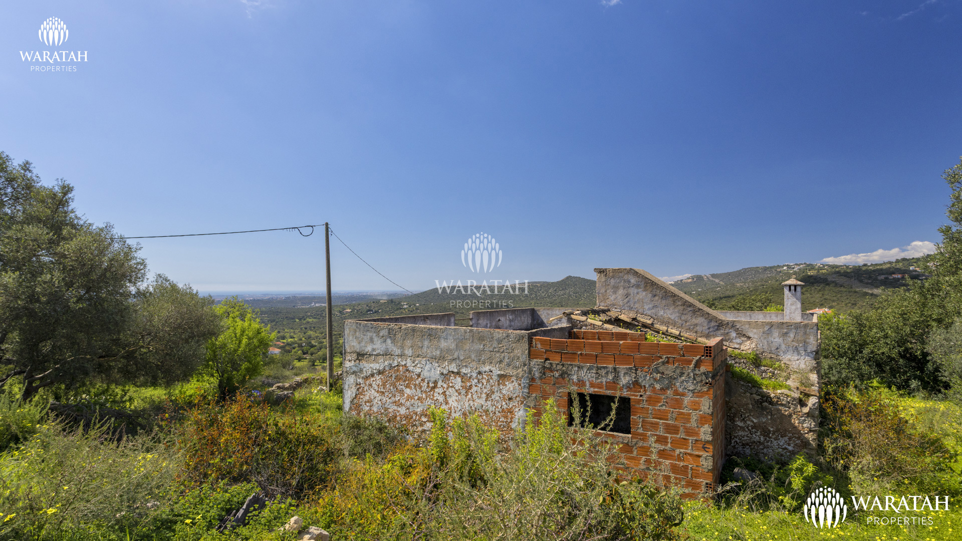 Plot Linaria WP (15 De 28)