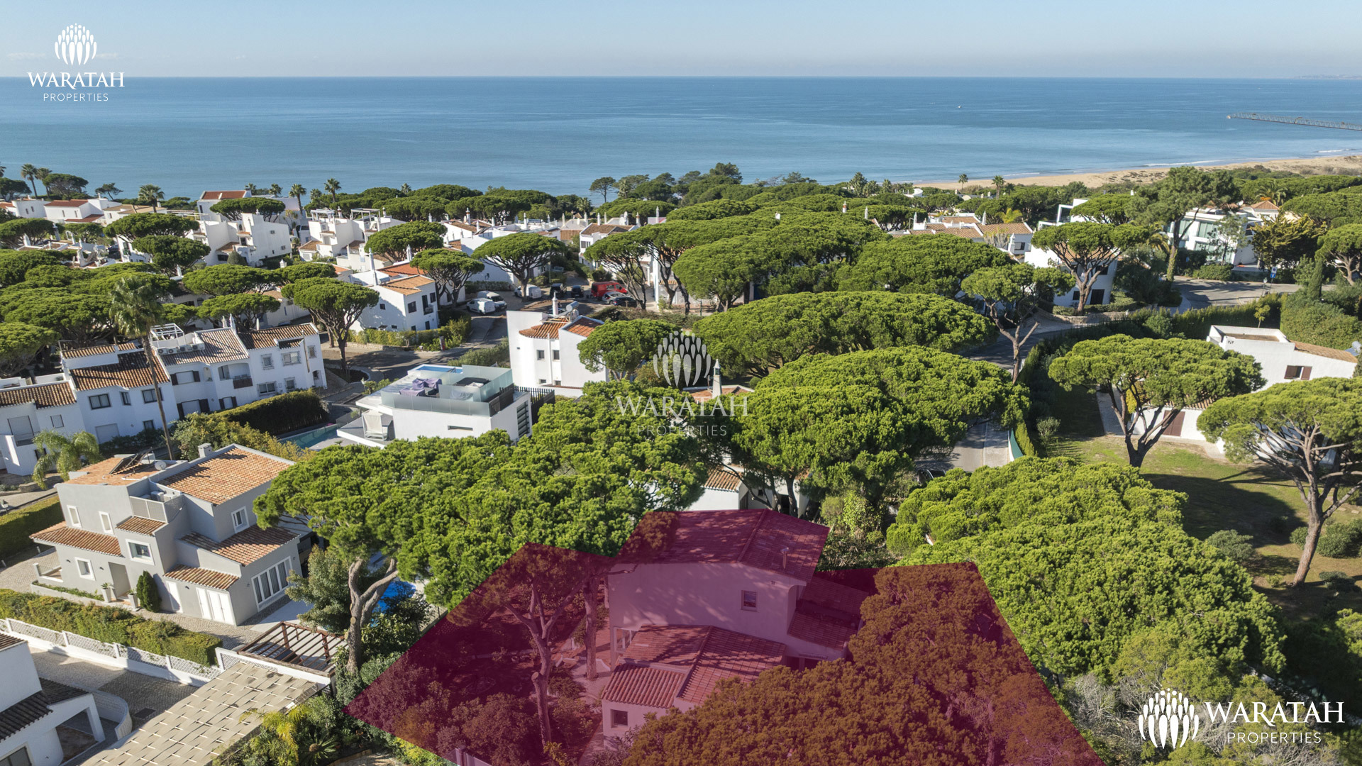 Villa Pinhão WP (1 De 1)