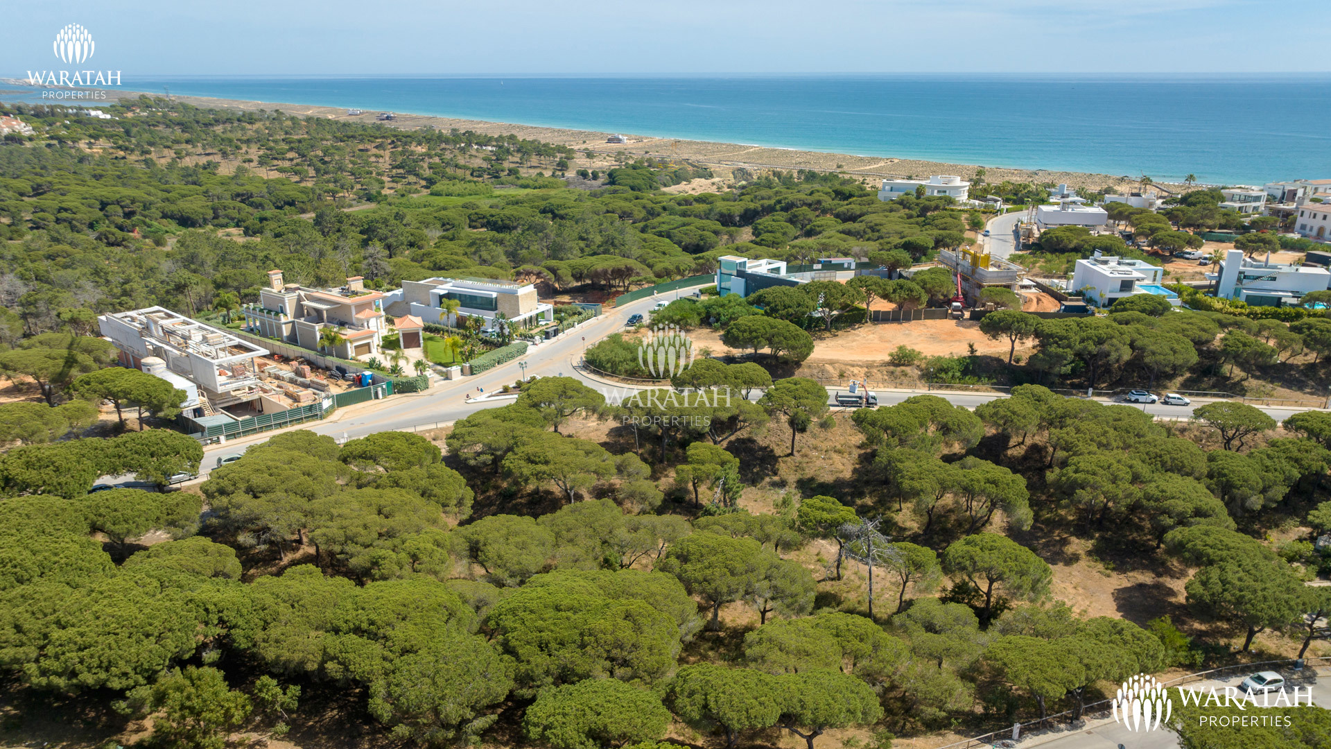 Plot Maples WP (6 De 16)