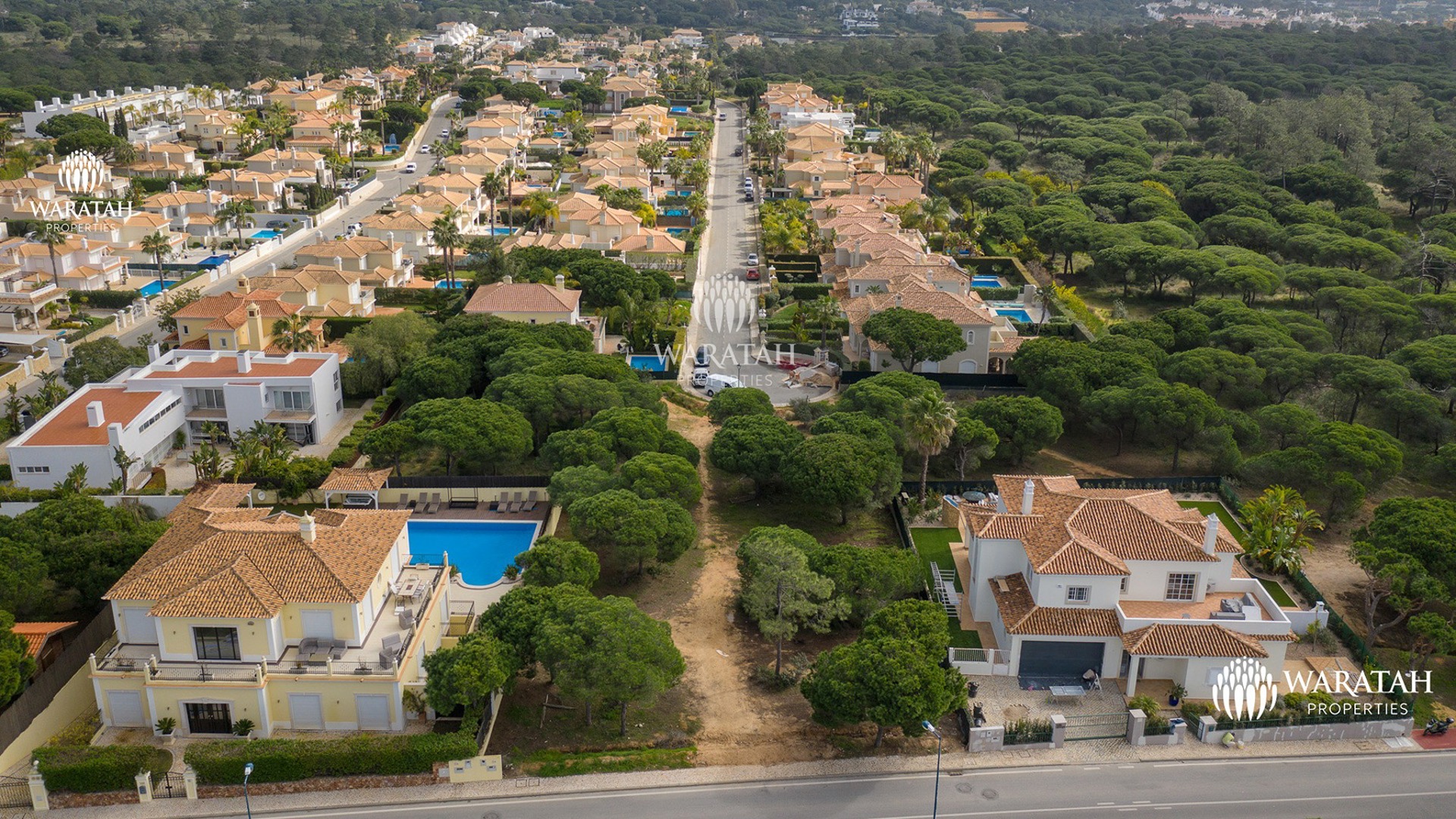 Waratah Plot Linnea WP Quinta Do Lago (1 Of 15)