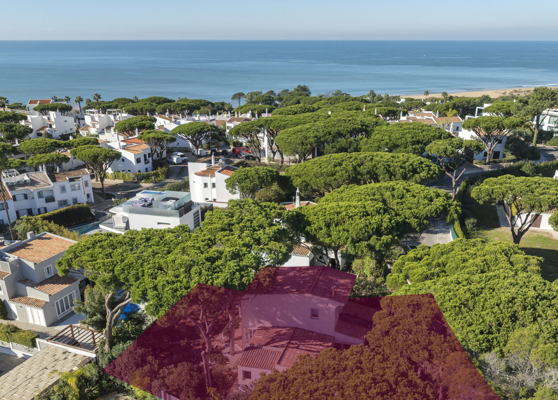 Villa Pinhão WP (1 De 1)