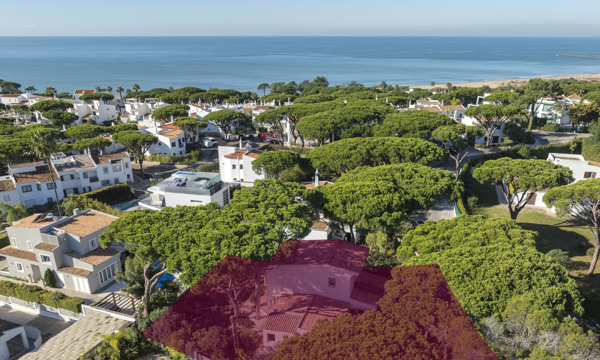 Villa Pinhão WP (1 De 1)