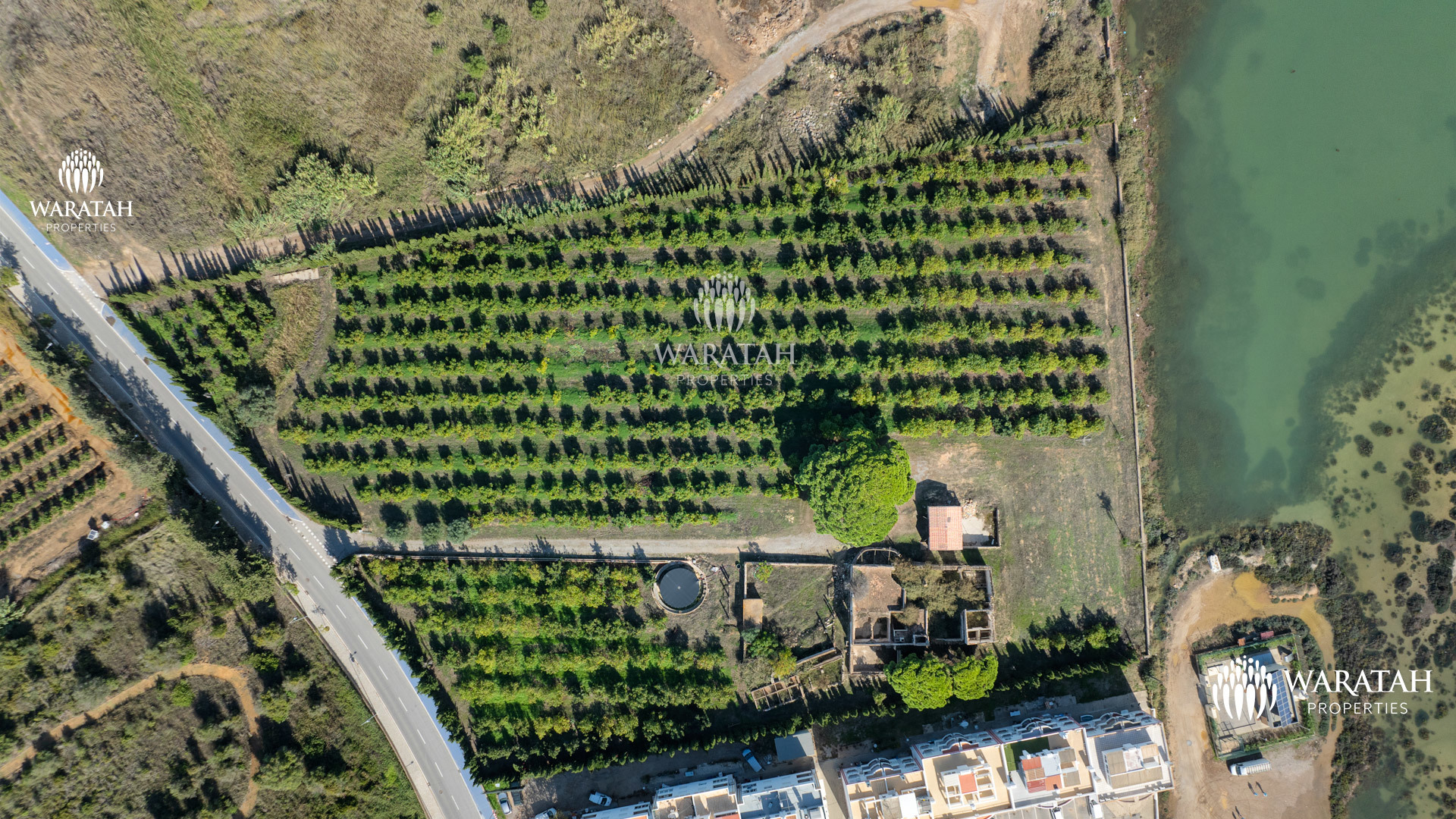 Plot Luiza (14 Of 27)