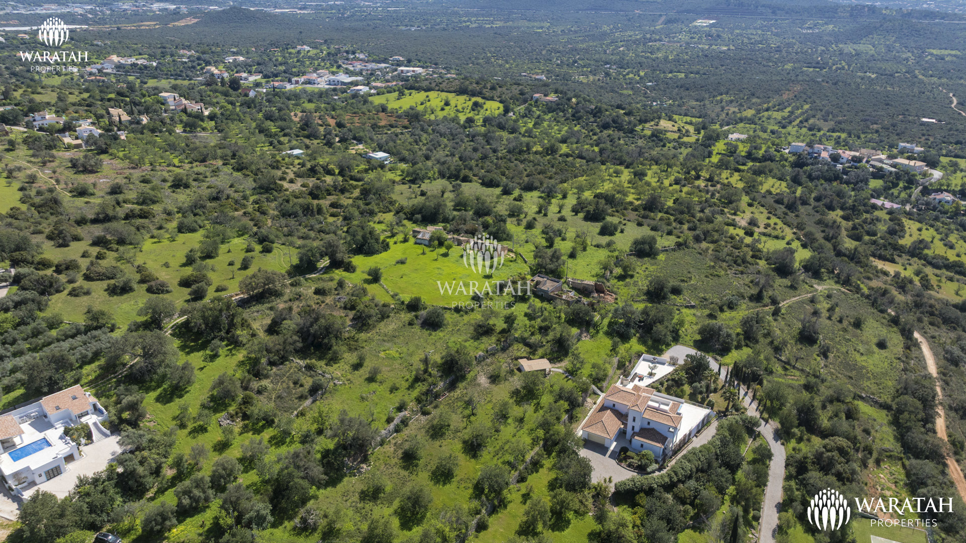 Plot Linaria WP (8 De 28)