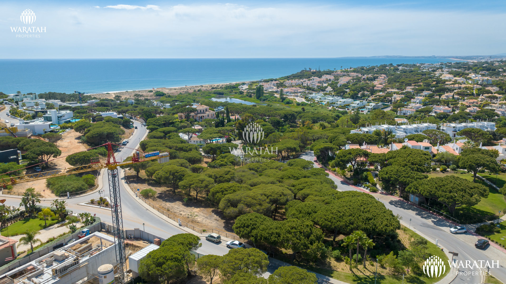 Plot Solo WP (10 De 38)