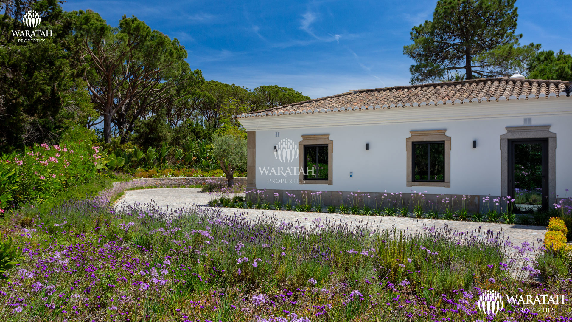 Villa Sandor Wp (46 De 106)