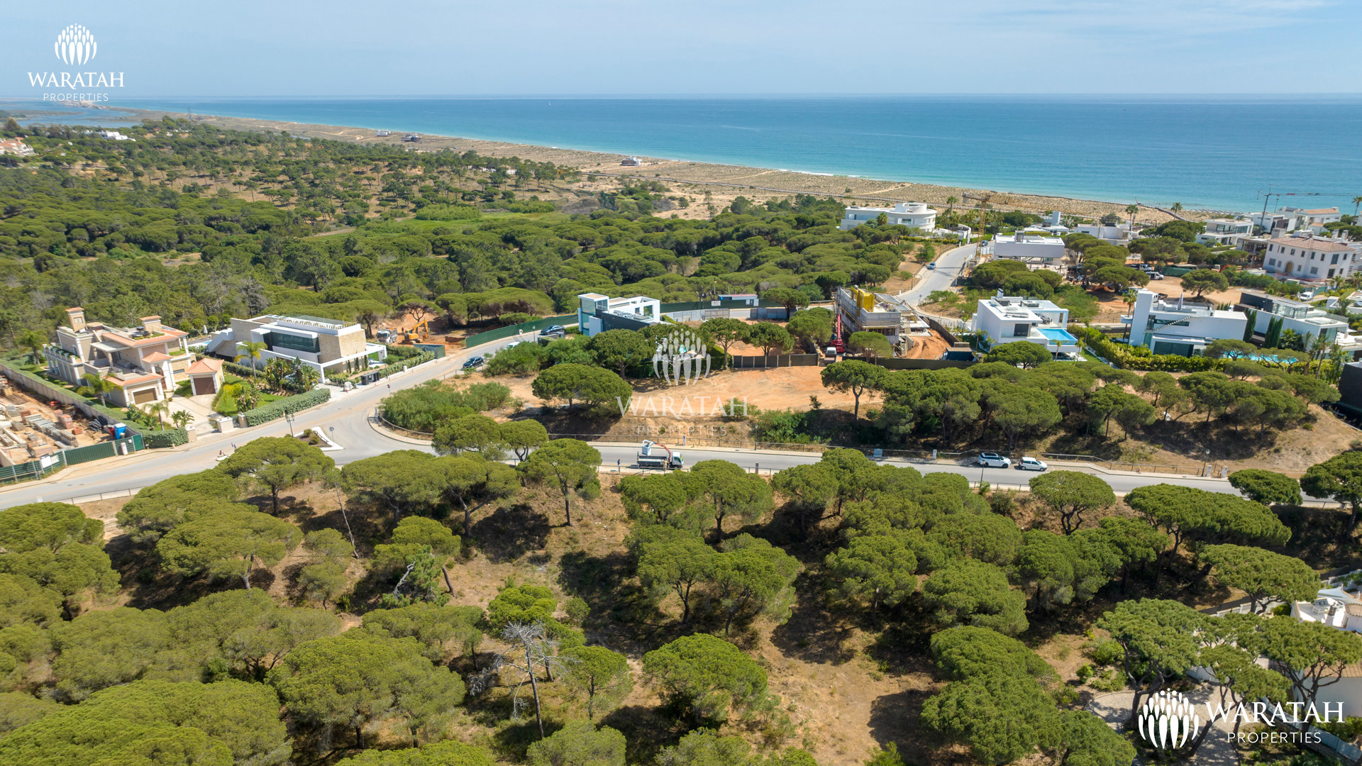 Plot Maples WP (8 De 16)