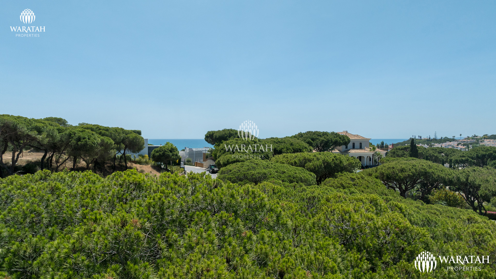 Plot Solo WP (33 De 38)