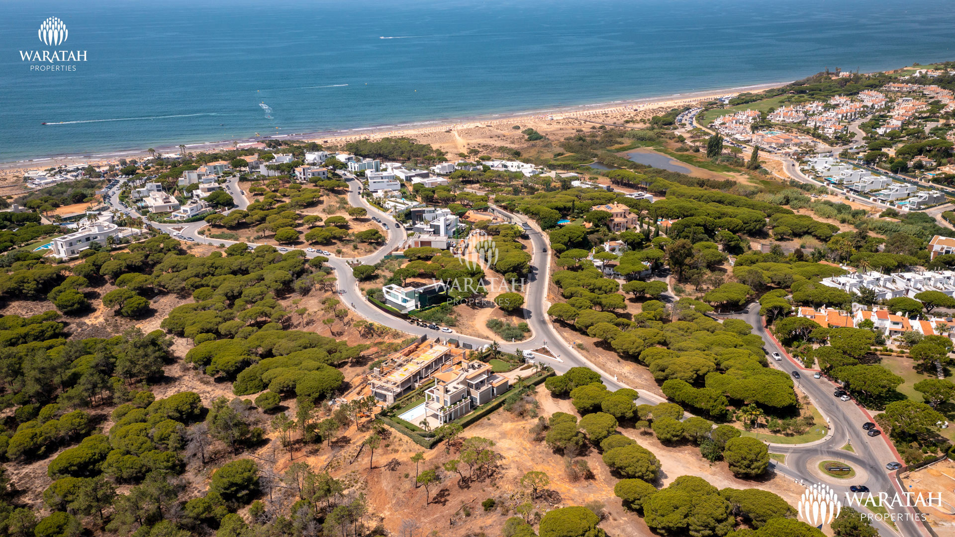 Plot Maples WP (2 De 16)