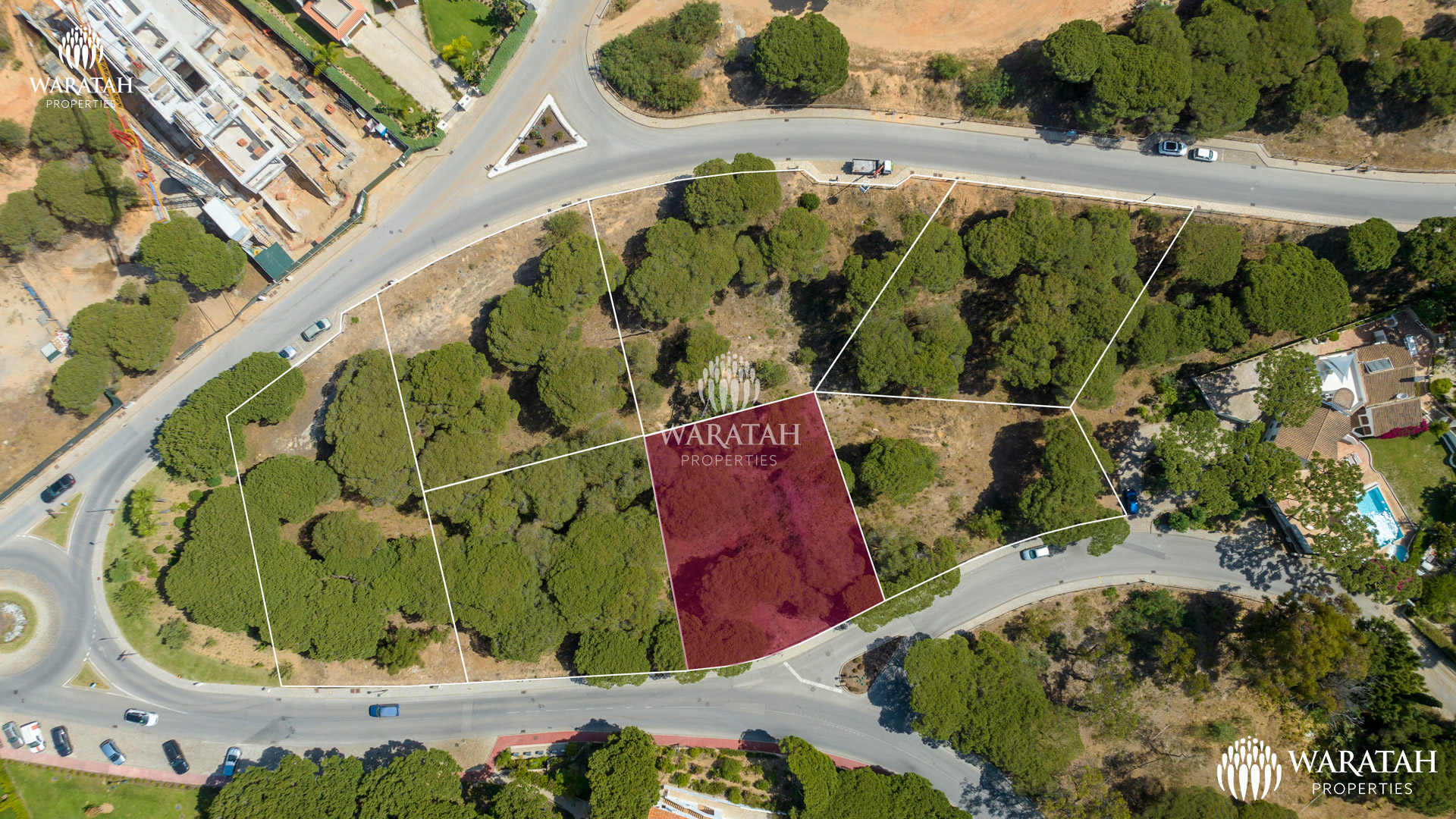 Plot Maples WP (9 De 16) Copiar