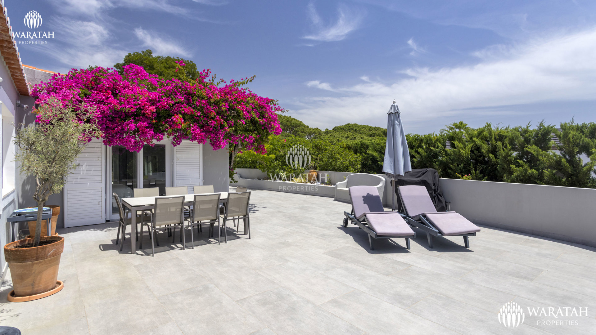 Villa Chimera WP (1 De 31)